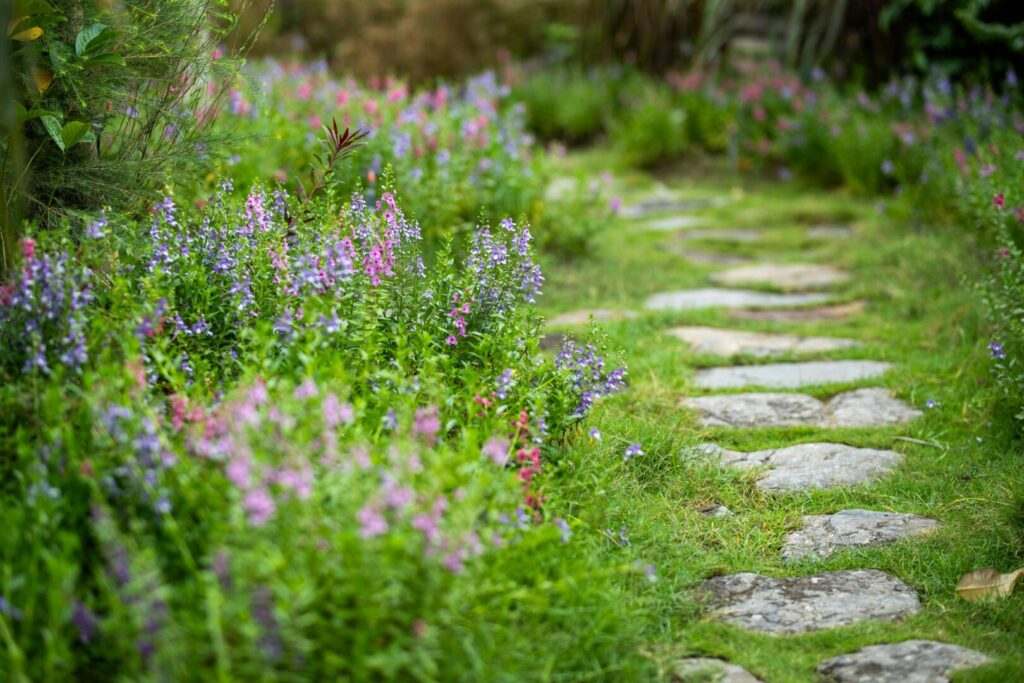 rdv diagnostic jardin naturel bretagne 